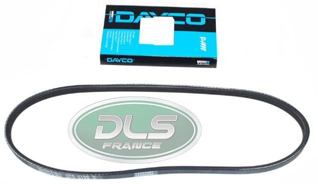 courroie de direction assistée Freelander 1.8 L essence - DAYCO