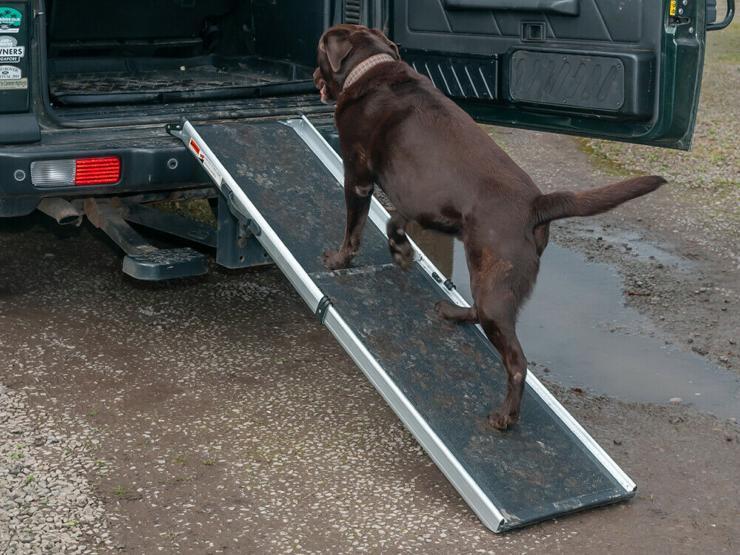 rampe télescopique pour chien