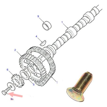 Vis de pignon d'arbre à came 3.9l